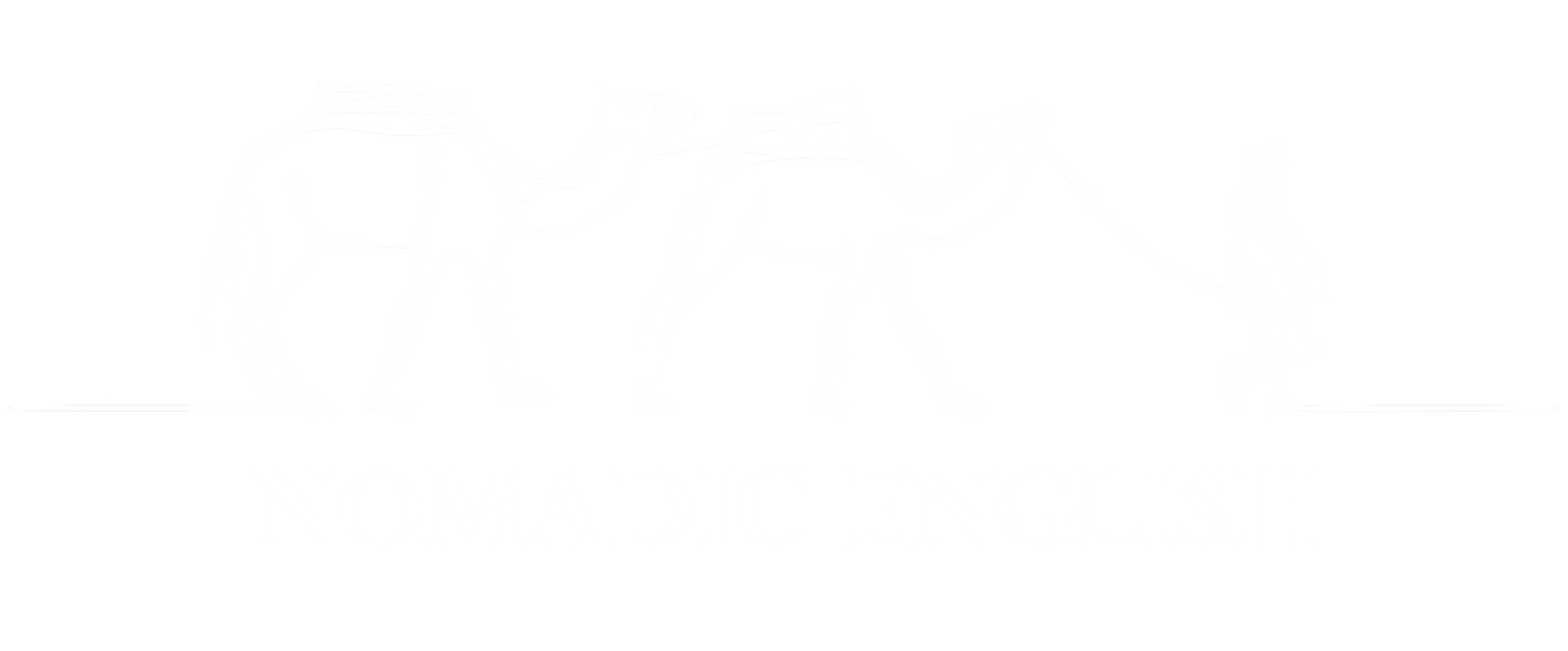 nomadicenglish.com